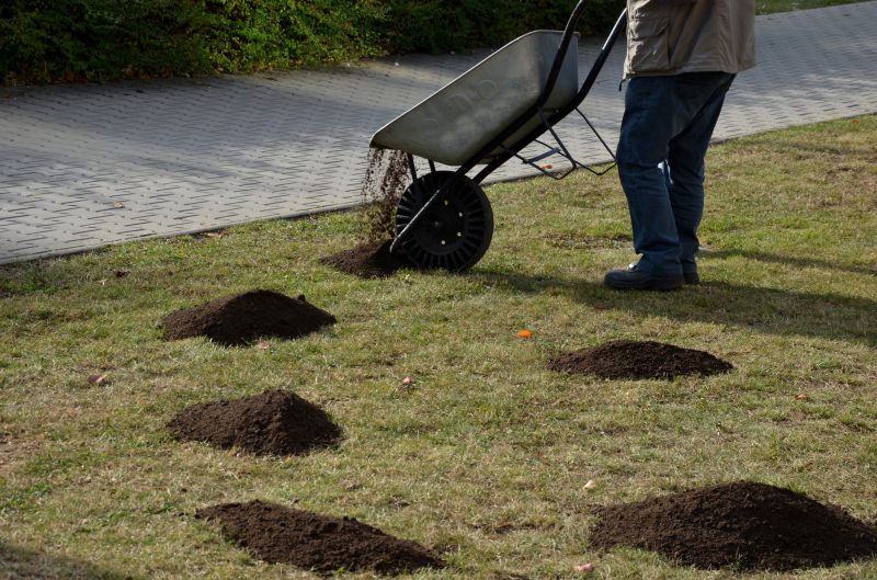 Enhances Curb Appeal