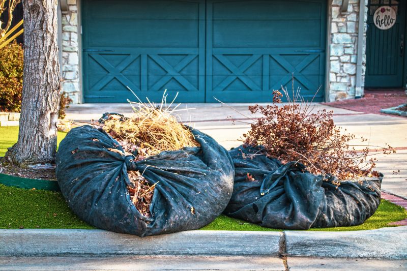 Yard Cleanup