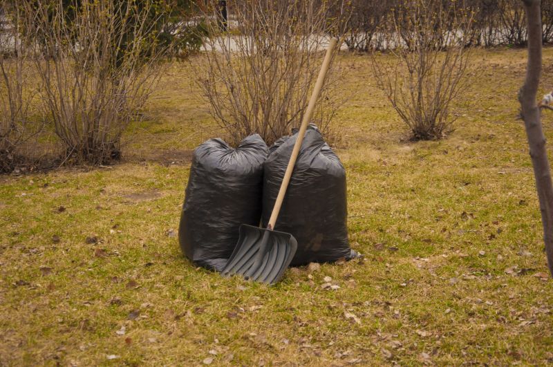 Yard Cleanup