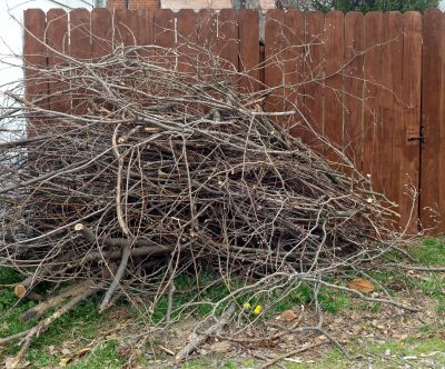 Brush Cleanup Service in Ventura County, CA