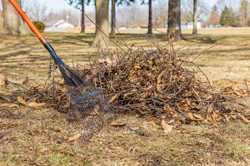 Cost of Yard Cleanup — Cost of Yard Cleanup