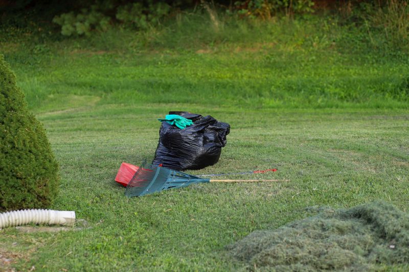 Cost of Yard Cleanup — Cost of Yard Cleanup
