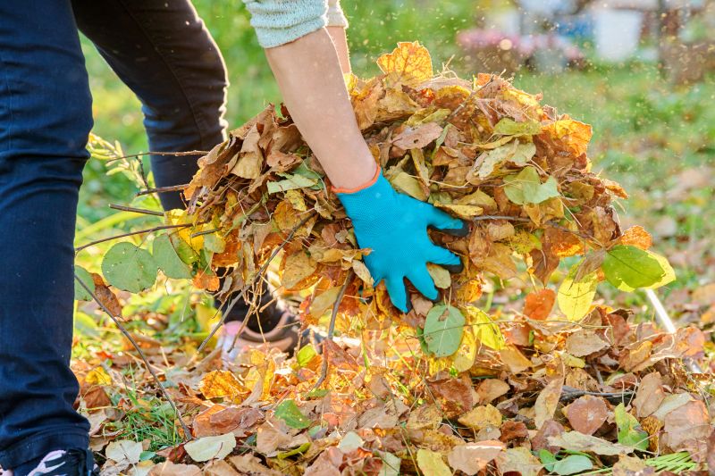 Leaf Removal in Ventura County, CA