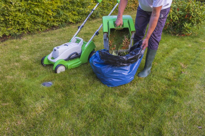 Spring Lawn Cleanup in Honolulu, HI